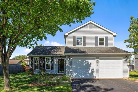 976 Trailside Ln, Bartlett, IL 60103 photo 1