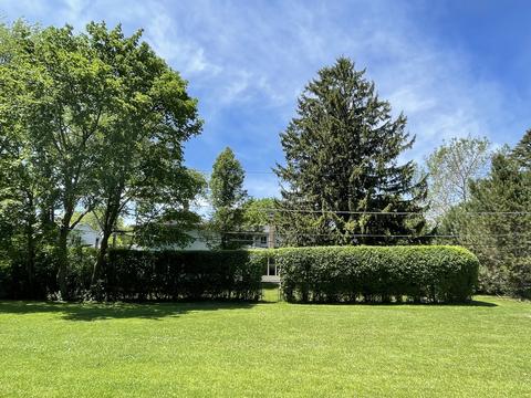 313 Pine St, Deerfield, IL 60015 photo 22