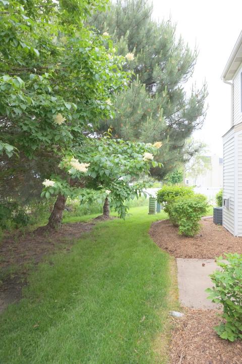 6901 Clearwater Dr, Plainfield, IL 60586 photo 25