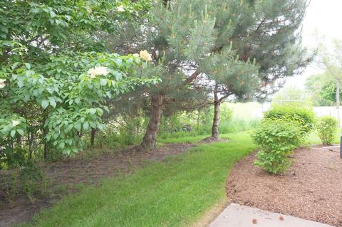 6901 Clearwater Dr, Plainfield, IL 60586 photo 27