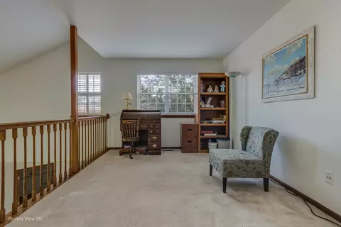 21305 Silktree Cir, Plainfield, IL 60544 photo 21