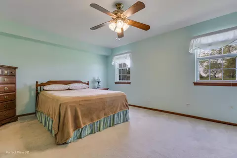 21305 Silktree Cir, Plainfield, IL 60544 photo 15