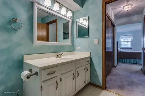 21305 Silktree Cir, Plainfield, IL 60544 photo 17