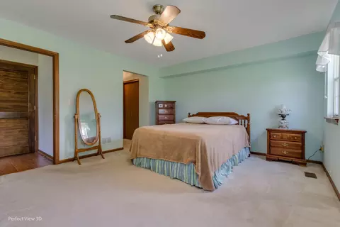 21305 Silktree Cir, Plainfield, IL 60544 photo 14