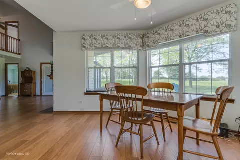 21305 Silktree Cir, Plainfield, IL 60544 photo 8