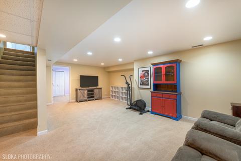 462 Summersweet Ln, Bartlett, IL 60103 photo 21