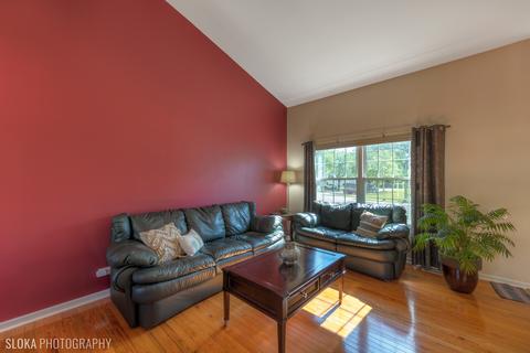 462 Summersweet Ln, Bartlett, IL 60103 photo 6
