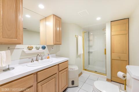 462 Summersweet Ln, Bartlett, IL 60103 photo 24