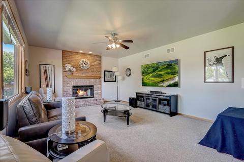 13209 Blackstone Ln, Plainfield, IL 60585 photo 4