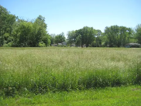 Lot 6 N Walker Street, Braidwood, IL 60408