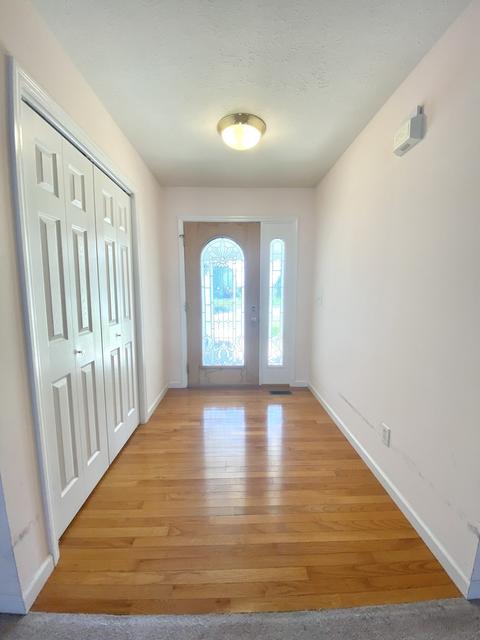 904 Switchgrass Ln, Champaign, IL 61822 photo 2