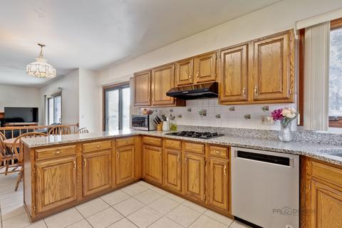 711 Kenmare Dr, Des Plaines, IL 60016 photo 11