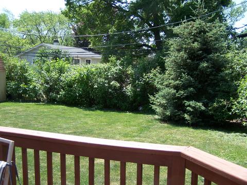 2313 Kirchoff Rd, Rolling Meadows, IL 60008 photo 4