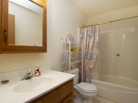 189 E First St, Manteno, IL 60950 photo 11
