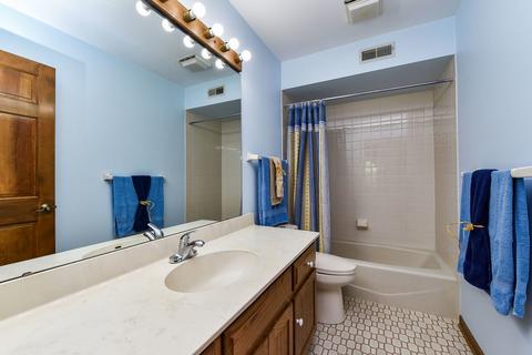540 Flock Ave, Naperville, IL 60565 photo 14