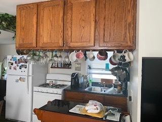 263 Orchard St, Elgin, IL 60123 photo 3