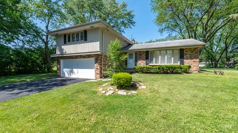 3 N561 Broadview Ave, Addison, IL 60101 photo 1