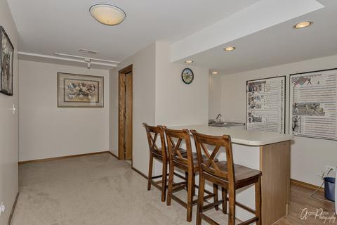 235 Arquilla Dr, Algonquin, IL 60102 photo 32