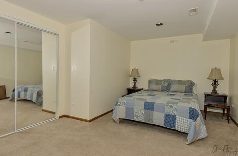 235 Arquilla Dr, Algonquin, IL 60102 photo 36