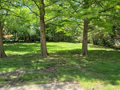20612 Marathon Ct, Olympia Fields, IL 60461 photo 25