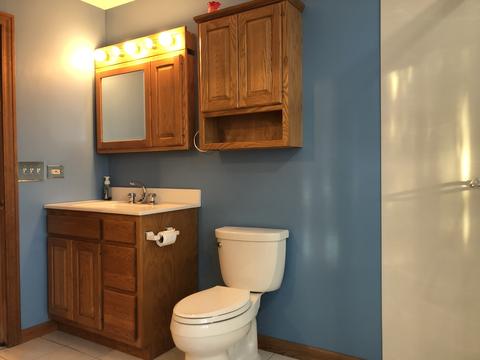 231 Deerpath Dr, Oswego, IL 60543 photo 15