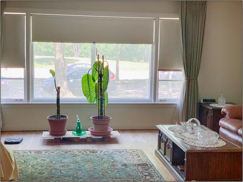 8940 Bennett Ave, Evanston, IL 60203 photo 4