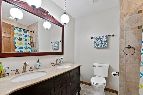 560 E Cunningham Dr, Palatine, IL 60074 photo 20