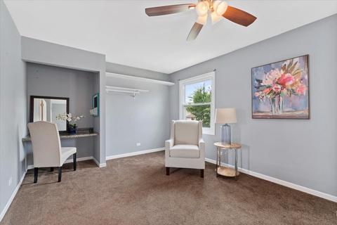 855 San Francisco Ter, Bartlett, IL 60103 photo 13