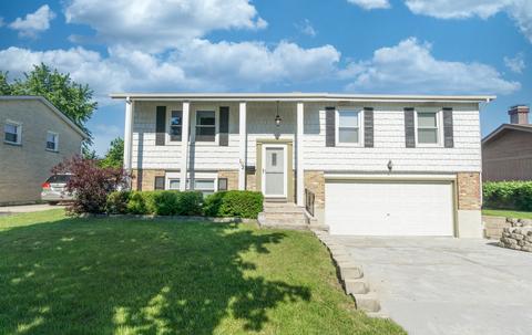 102 S Mill Rd, Addison, IL 60101 photo 1
