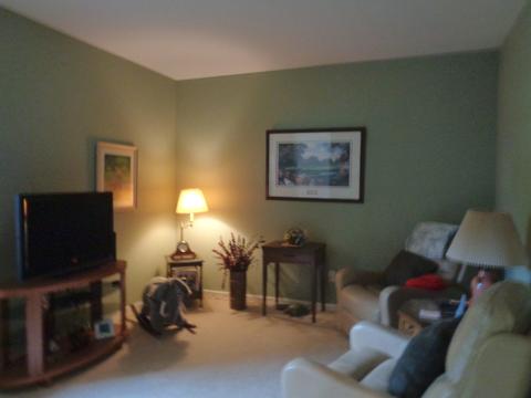 655 Tuscan Vw Dr, Elgin, IL 60124 photo 7