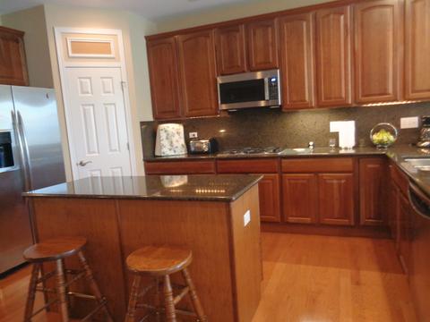 655 Tuscan Vw Dr, Elgin, IL 60124 photo 8