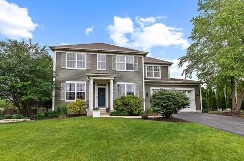 25313 Knoll Rd, Plainfield, IL 60544 photo 48