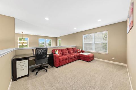 25313 Knoll Rd, Plainfield, IL 60544 photo 26