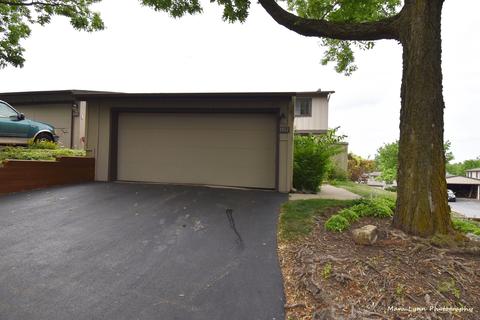 1102 Florimond Dr, Elgin, IL 60123 photo 7
