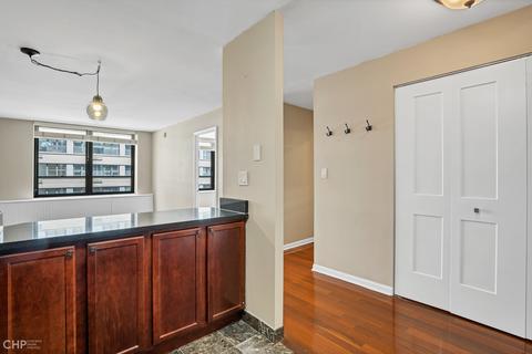 222 E Pearson St #1207, Chicago, IL 60611 photo 7