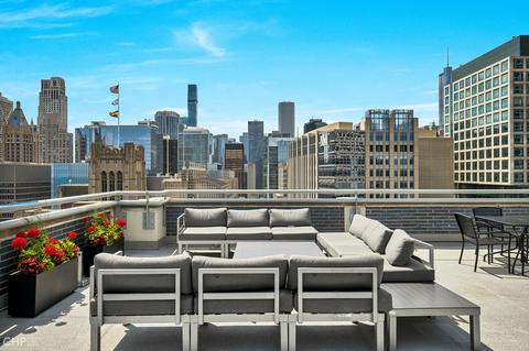 222 E Pearson St #1207, Chicago, IL 60611 photo 13