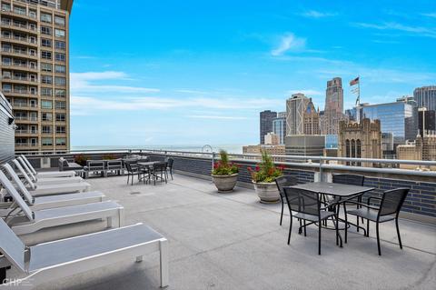 222 E Pearson St #1207, Chicago, IL 60611 photo 15
