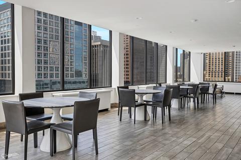 222 E Pearson St #1207, Chicago, IL 60611 photo 11