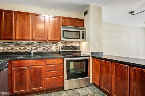 222 E Pearson St #1207, Chicago, IL 60611 photo 6