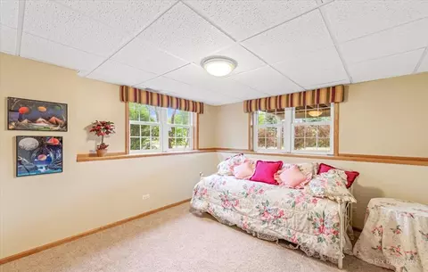 3560 Buckboard Dr, Algonquin, IL 60102 photo 52
