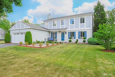 813 Appletree Ct, Bartlett, IL 60103 photo 1
