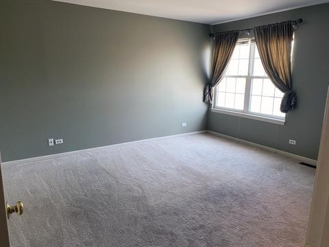 156 Millers Xing, Itasca, IL 60143 photo 10