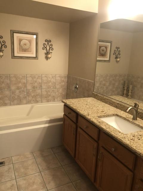 500 Apache Dr, New Lenox, IL 60451 photo 20