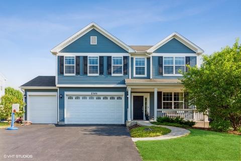 2301 Deerpath Rd, Bolingbrook, IL 60490 photo 1