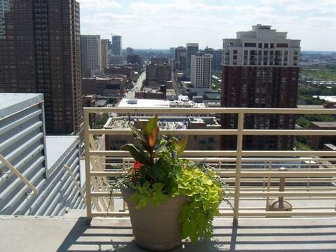 40 E 9th St #1403, Chicago, IL 60605 photo 31