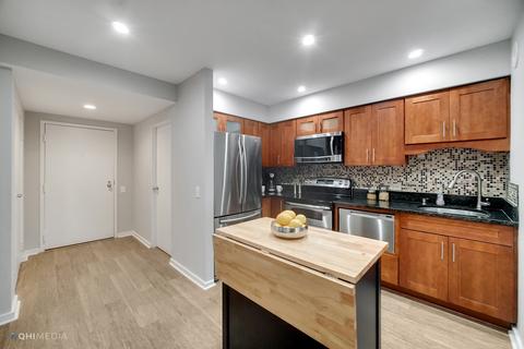 40 E 9th St #1403, Chicago, IL 60605 photo 13