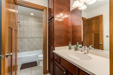 293 E Madison St, Elmhurst, IL 60126 photo 21