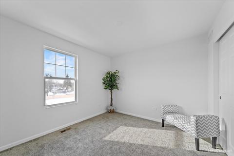 2705 Lily Ln, Rolling Meadows, IL 60008 photo 22