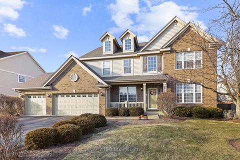 26204 Mapleview Dr, Plainfield, IL 60585 photo 1