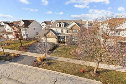 26204 Mapleview Dr, Plainfield, IL 60585 photo 2
